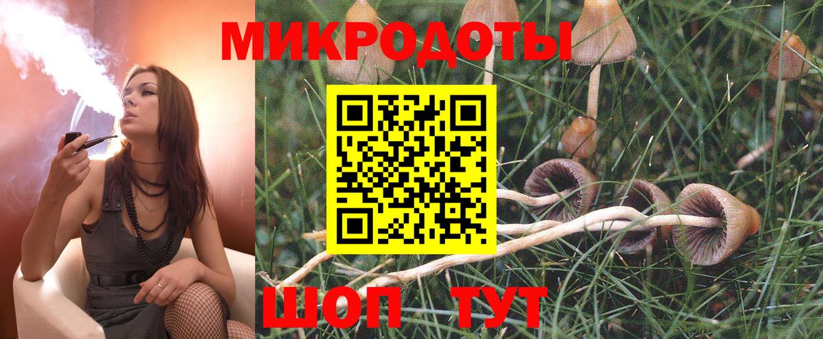 Галлюциногенные грибы MAGIC MUSHROOMS Моздок