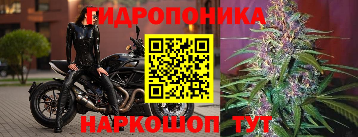 Бошки марихуана SATIVA & INDICA  МАРИХУАНА THC 21%  Конопля OG Kush  Моздок  Вход с VPN  Каннабис AK-47 